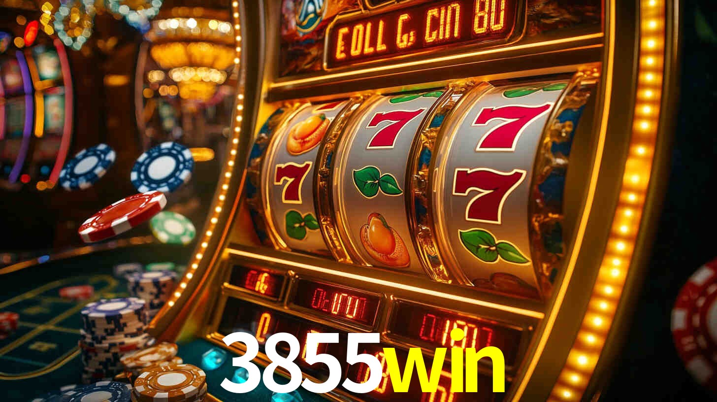 Premium Interface 3855win