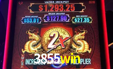 Live Casino 3855win